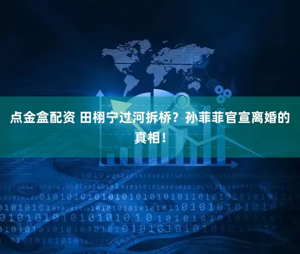 点金盒配资 田栩宁过河拆桥？孙菲菲官宣离婚的真相！