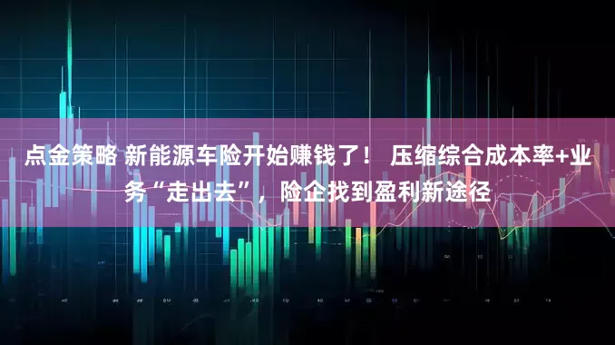 点金策略 新能源车险开始赚钱了! 压缩综合成本率+业务“走出去”,险企找到盈利新途径